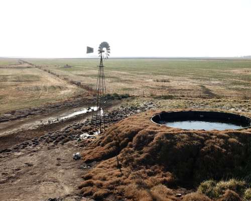 San Enrique 137 Ha 25 de Mayo BS. AS.