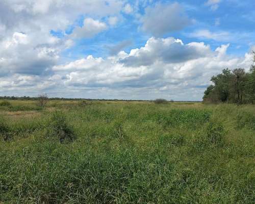 Joaquin V Gonzalez, Anta, Salta - 5.500 Ha