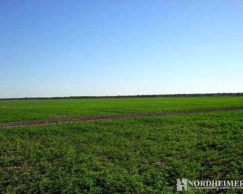 Colonia Dora, Avellaneda, Santiago del Estero - 644 Ha