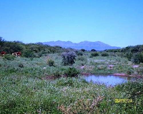 Excelente Campo Ganadero a 8 KMS del Centro de San Luis
