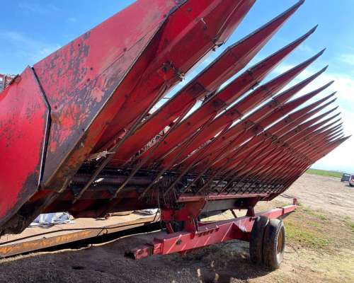 Girasolero Mainero 1035 de 10 a 70
