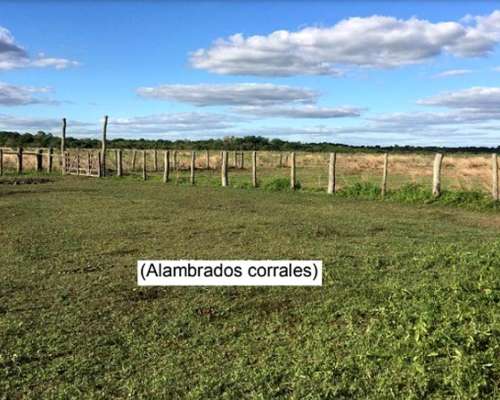 Campo 4168ha Mixto - San Luis del Palmar Corrientes