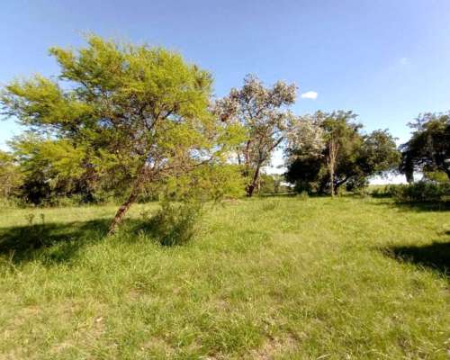 56 Hectáreas Sobre Autopista, Gualeguaychú.
