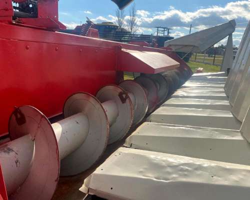 Maicero Maizco 12 a 52 Premiun