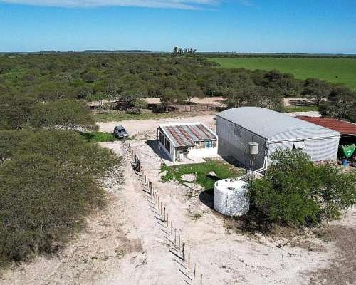 Ceibas, Gualeguaychú, Entre Ríos - 1.000 Ha