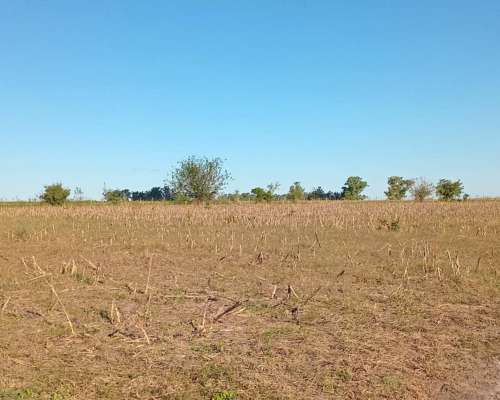 120 Ha en Don Cristobal. Campo Mixto