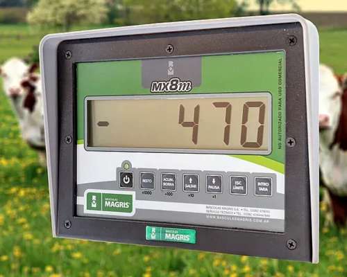 Monitor Magris Mx8m - para Mixers