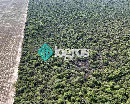 Campo en Venta de 385 Ha en Joaquín V. González, Salta