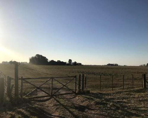 Ramos Otero, Balcarce, Buenos Aires - 90 Ha