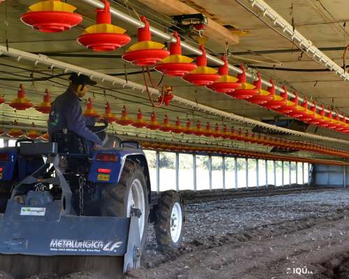 Triturador de Cama Avícola Metalurgica LF