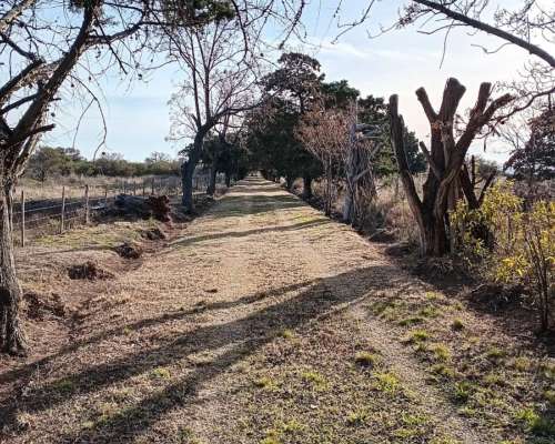 Dueño Vende Finca en Córdoba (ischilin) Argentina.