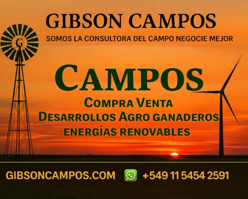 San Miguel 680 Has Forestal/ganadero Buen Precio