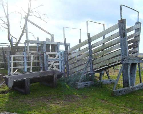 Brandsen, Buenos Aires - 284 Ha