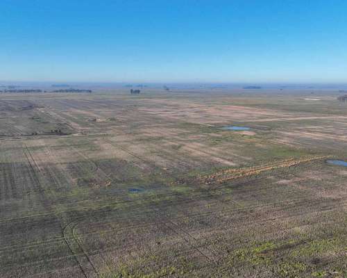 Pcia. de Buenos Aires - Carmen de Areco 66 Has