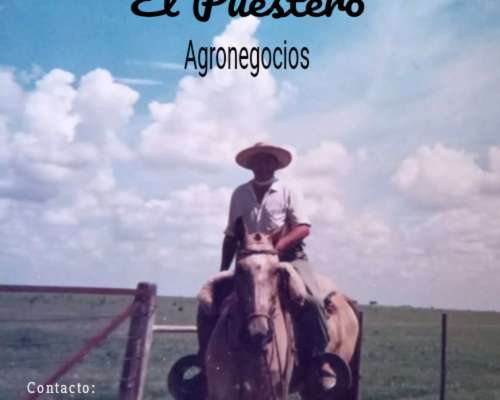 Vendo Campo en la Pampa.