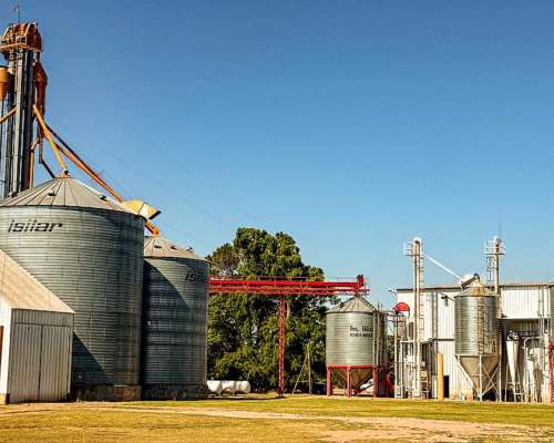 Alquiler Molino Harinero y Planta de Silos - Barrancas - SF