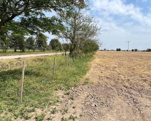 Campo en Humberto I (52 Hectáreas)
