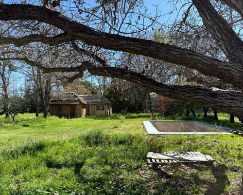 Venta de Finca en Agrelo, Lujan de Cuyo - Mendoza