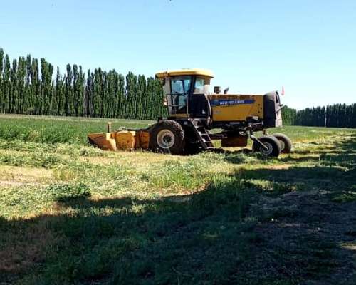 Segadora Autopropulsada New Holland SR 200