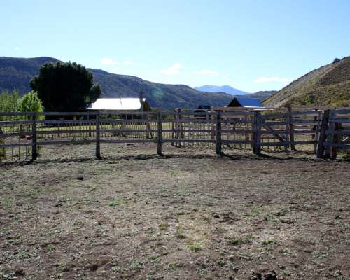 Campo Cholila Chubut 1600 Ha