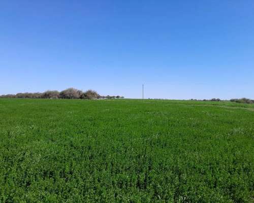 Entre Rios Campo Mixto Unico