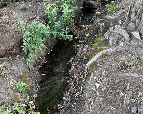 Chacra Trelew Chubut 7.5 Hectáreas