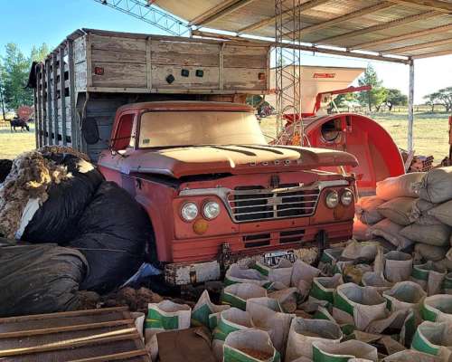 Camion Dodge 400 Motor Perkins 6 CIL