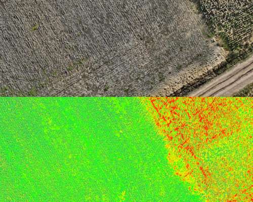 Servicio de Aplicación, Siembra y Fertilización con Dron