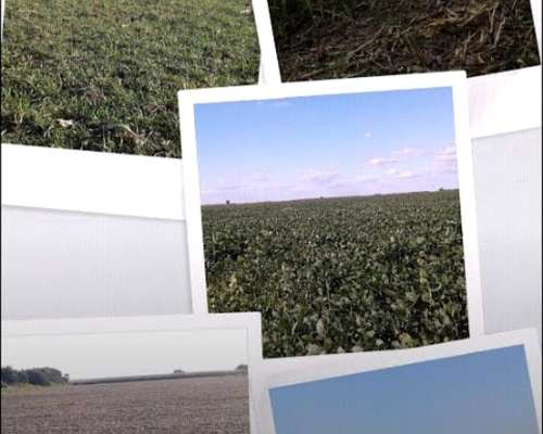 50 Has Rio Primero Córdoba