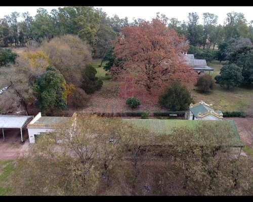 6902ha Campo Mixto en Venta en Lincoln, Pcia. de BS AS.