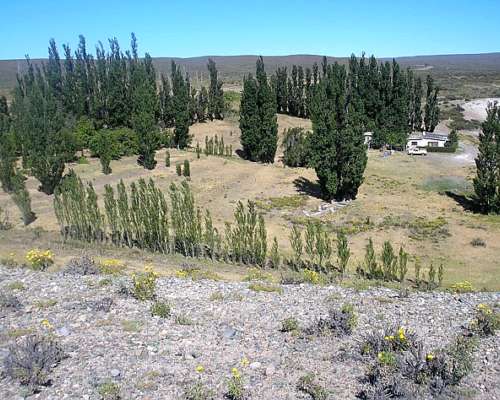 15.000 Ha-paso de INDIOS-CHUBUT-R.25