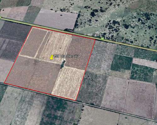 150 Ha Agricolas en Hersilia Sobre RP 38. IP 52%