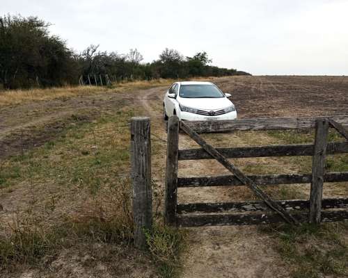 Alejandra - 1200 Has Estancia Ganadera - Altas-ruta 1