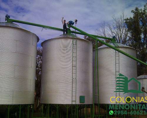 Planta Automática de Silos con Sinfines-colonias Menonitas