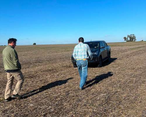 200 Has. Agrícola Cercano a Ruta
