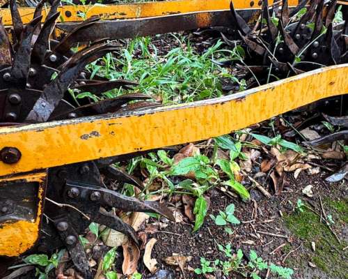 Rastras Rotativa 3 Puntos / 4 Cuerpos Migra 5 Surcos Dos