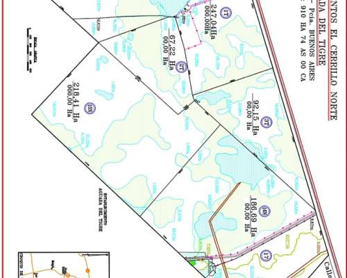 Venta Campo Ganadero 910 Ha Dolores Buen Acceso