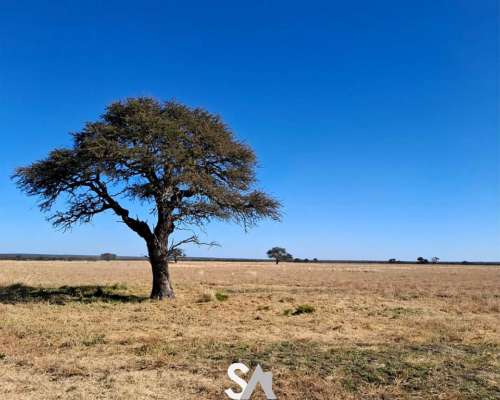 Alquila: Campo Ganadero 6000 Hectáreas en Arizona, San Luis