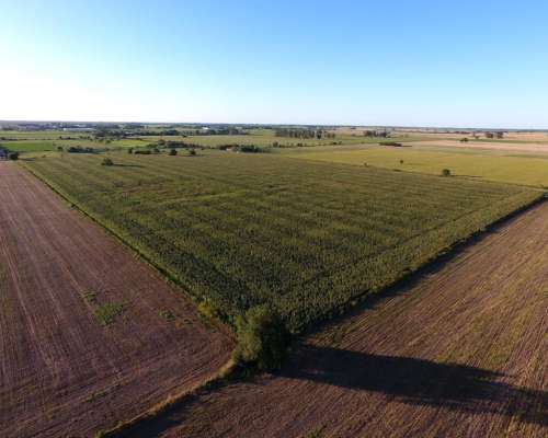 Venta Campo Agrícola. 16 HA. Recreo, Santa FE.