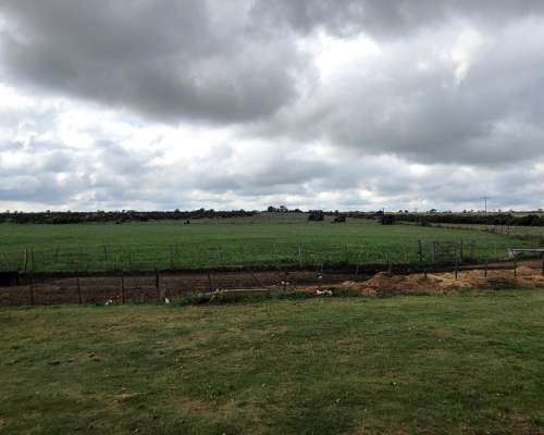 Vendo Campo en San Francisco del Chañar
