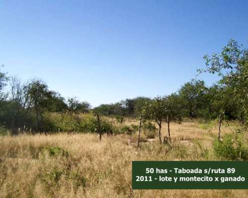 Stgo, Taboada, 50 Has con Riego, Sobre Ruta 89 Asfaltada