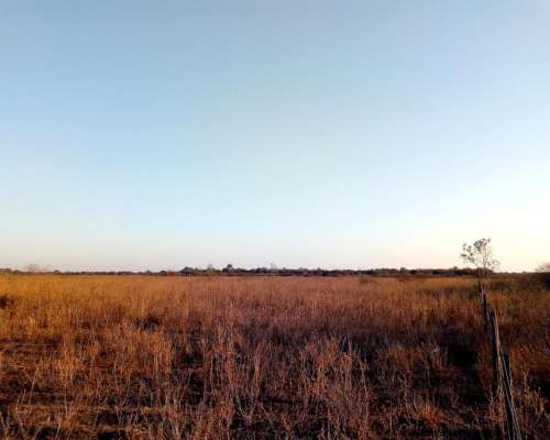 98 HA. Venta o Alquiler - Prov. del Chaco.