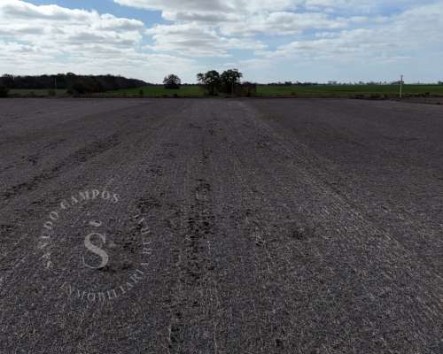 Venta Campo Agrícola. 41 HA. Cululú, Santa FE.