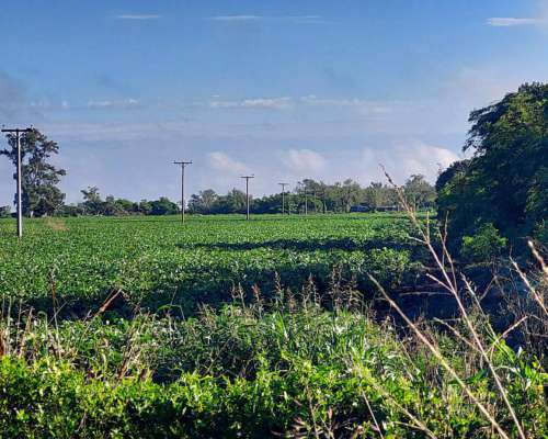 Se Vende 120 Has Zona Virginia