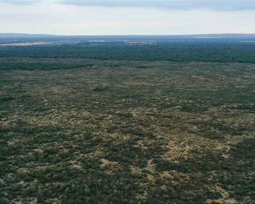 Pcia. de Santiago del Estero - Tapso 1948 Has