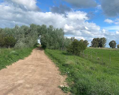 Chacra en Benito Juárez