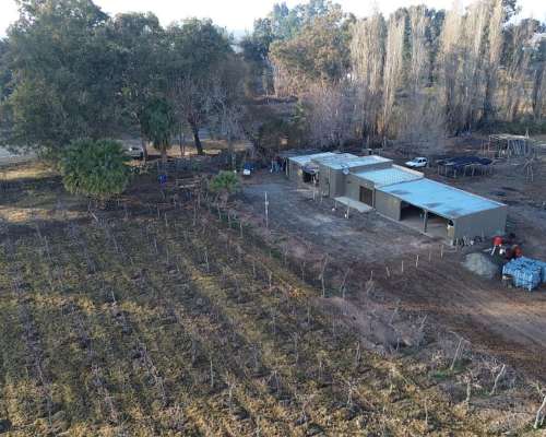 Finca de 60ha en Ruta N° 40 Capdevilla Derecho de Riego