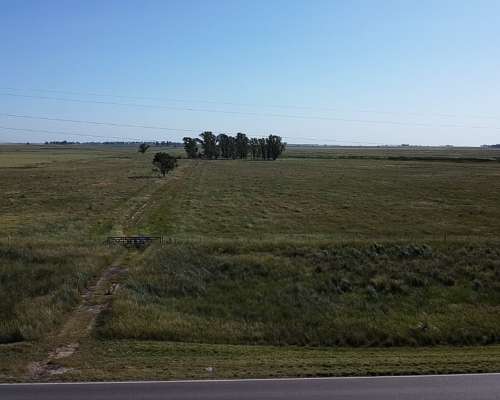 Excelente Campo de 127 Ha Sobre RN 226 Zona Carlos Tejedor