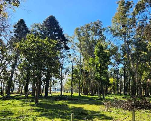 Brandsen -68 HA- Buenos Aires