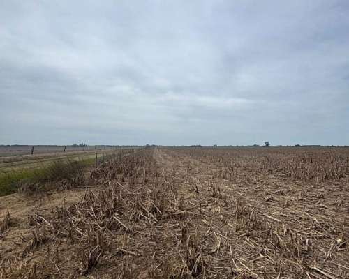 Campo Mixto 231 Hectáreas